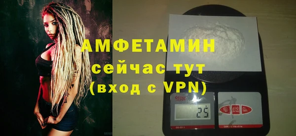 PSILOCYBIN Вяземский
