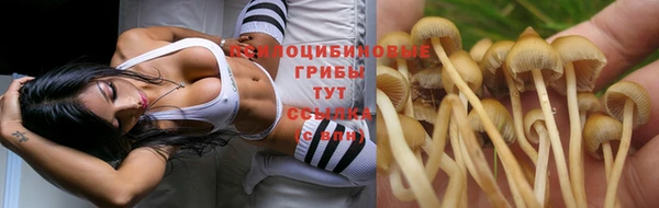 MESCALINE Вязьма