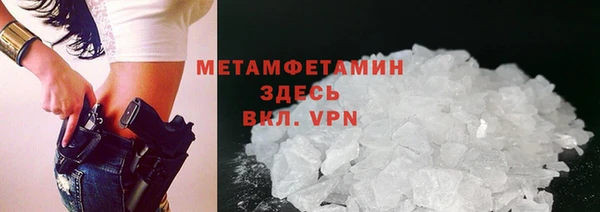 PSILOCYBIN Вяземский