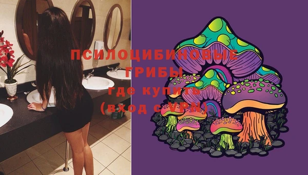 PSILOCYBIN Вяземский