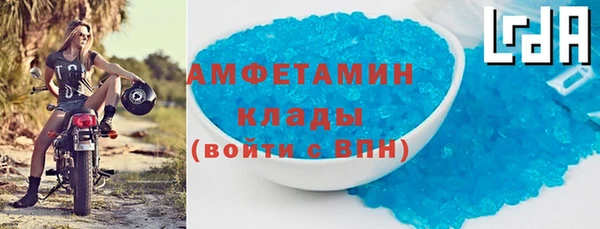 PSILOCYBIN Вяземский
