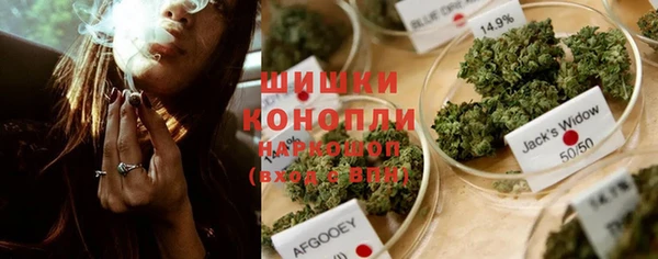 PSILOCYBIN Вяземский