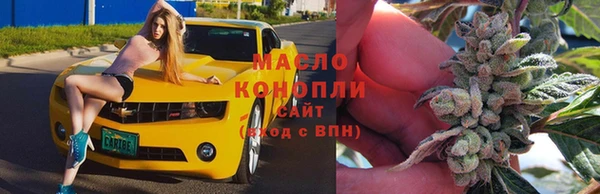 PSILOCYBIN Вяземский