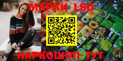 стафф Кандалакша