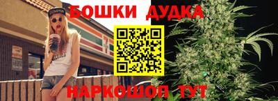 стафф Кандалакша