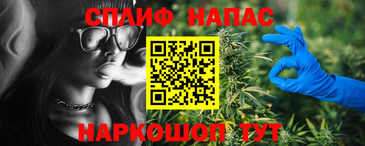 Каннабис план Электросталь